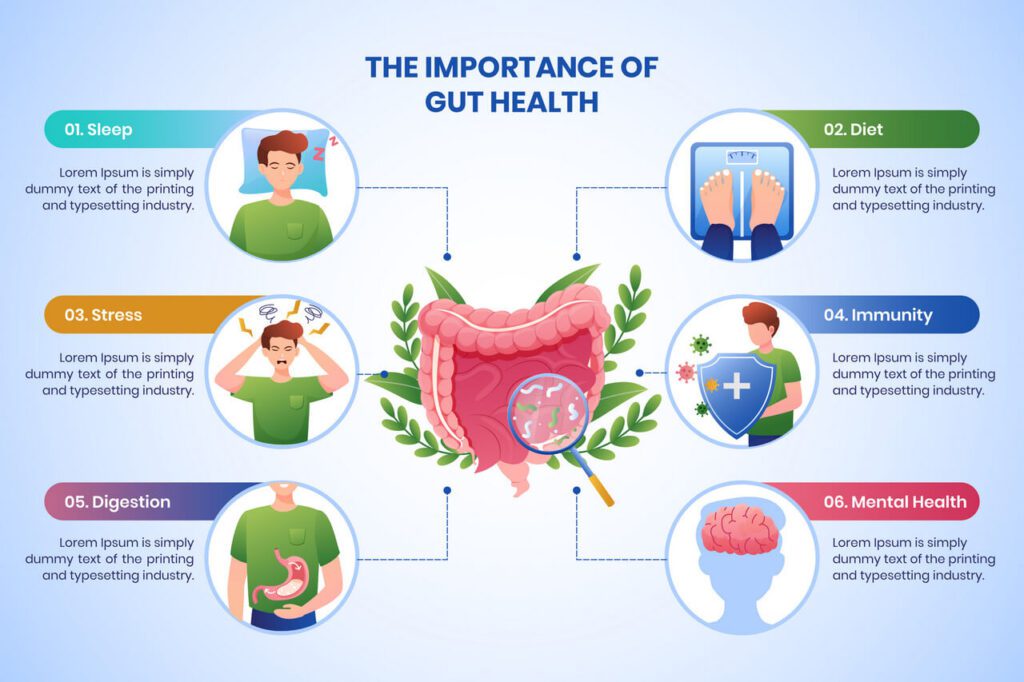 장(gut) 건강의 중요성을 설명하는 이미지. 출처 Freepik