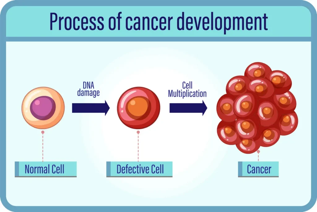 암 세포의 성장 과정 이미지. 자가 포식은 암 세포의 성장을 돕는다. 작가 brgfx 출처 Freepik